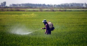 Agrotóxico sendo despejado em plantação