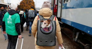 Rússia tentará novamente criar corredores humanitários na Ucrânia. Foto de adolescente caminhando com um cachorro dentro de uma bolsa.