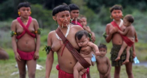 Foto de yanomamis com trajes tradicionais em um lugar ao ar livre.