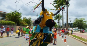 Desfile na rua durante Carnaval