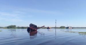 Plantação de arroz agroecológico inundada em Viamão. MST estima perda de 200 mil sacas com as enchentes, ou cerca de 10 mil toneladas. Foto: MST-RS